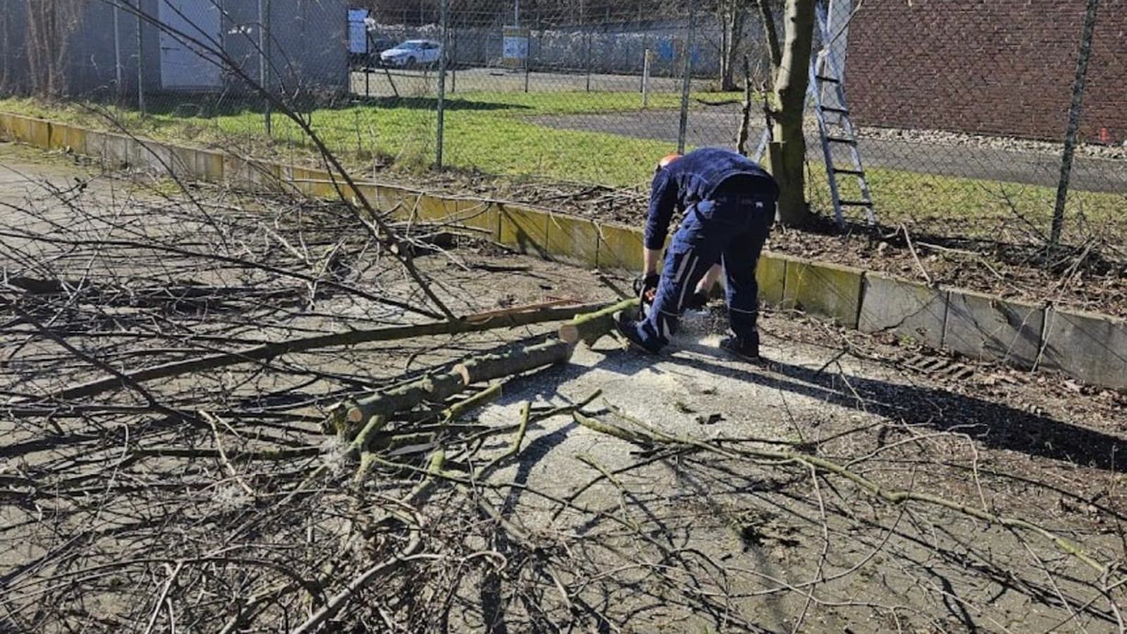 Gartenpflege
